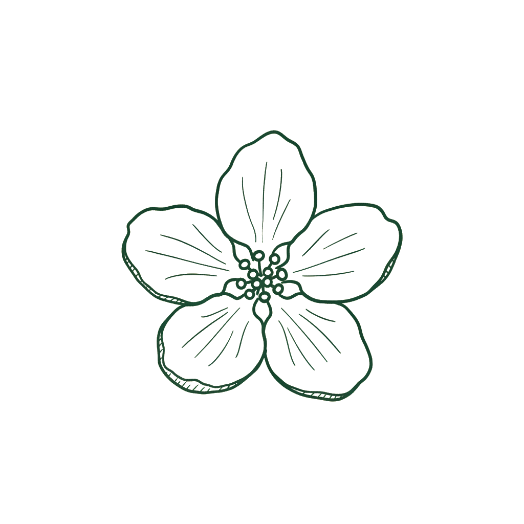 Blossom