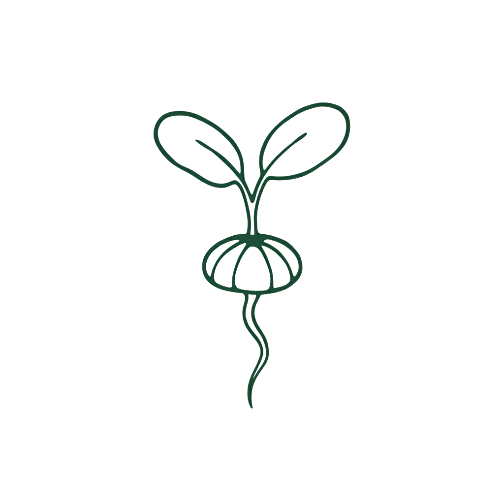 Seed